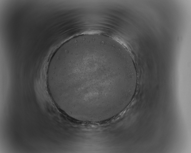 X0000090610337200707171421