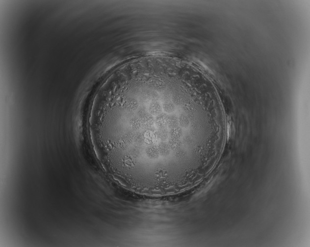 X0000090610339200707171421