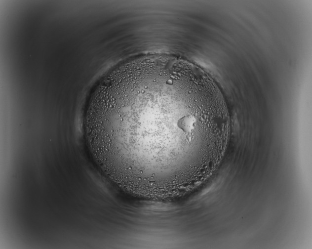 X0000090610347200707171421