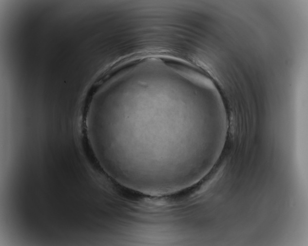 X0000090610351200707171421