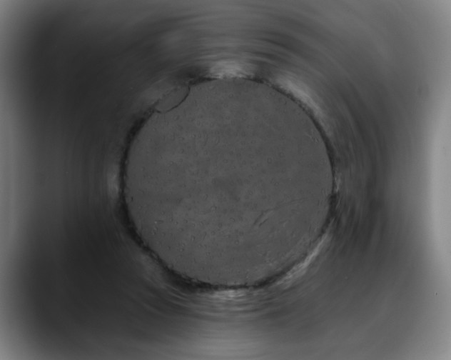 X0000090610353200707171421