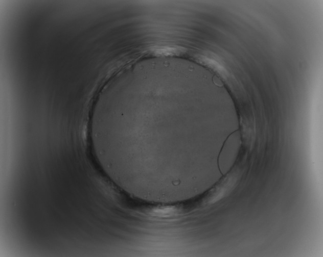 X0000090610357200707171421