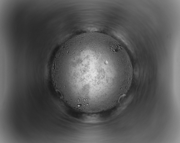 X0000090610359200707171421