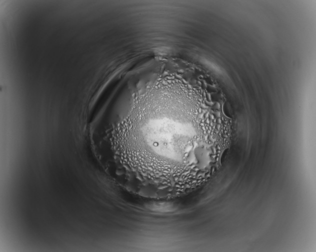 X0000090610361200707171421