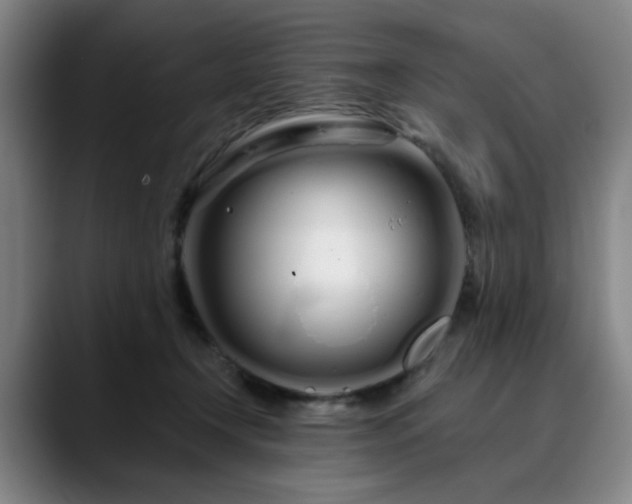 X0000090610366200707171421