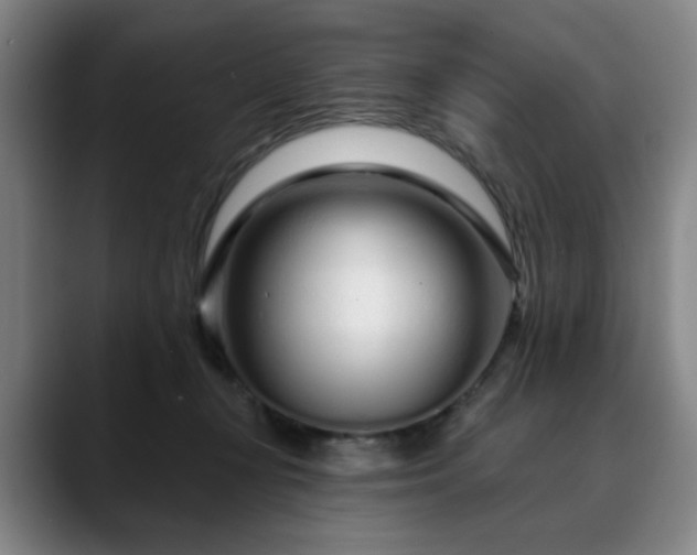 X0000090610367200707171421