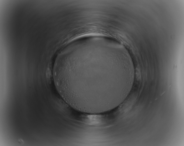 X0000090610371200707171421