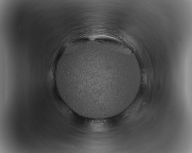 X0000090610373200707171421