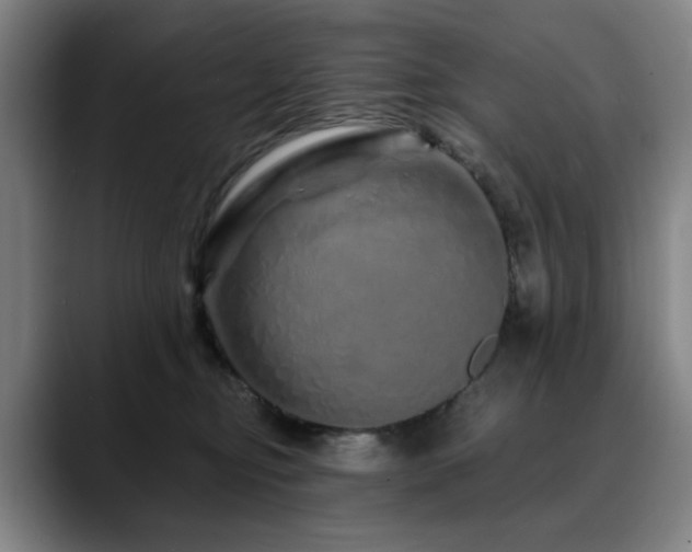 X0000090610374200707171421