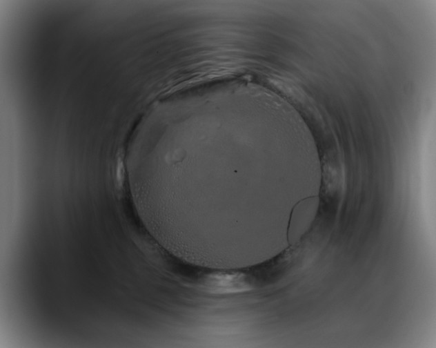 X0000090610375200707171421