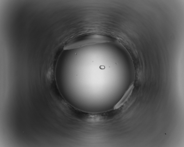 X0000090610376200707171421