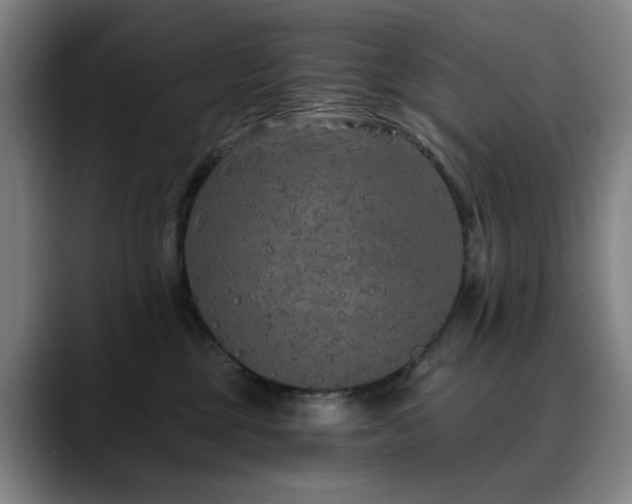 X0000090610377200707171421