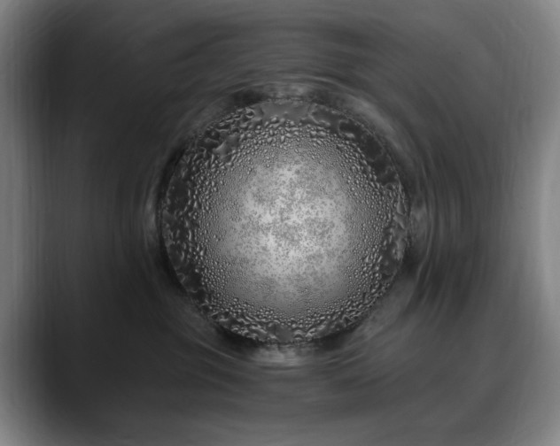 X0000090610381200707171421