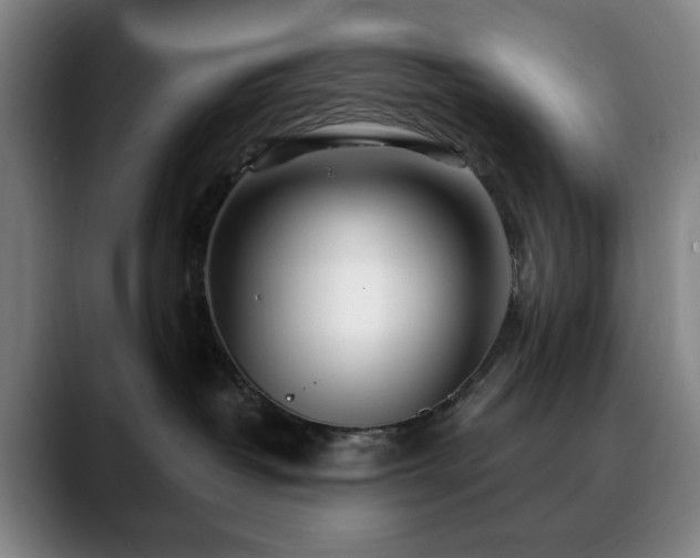 X0000090610382200707171421