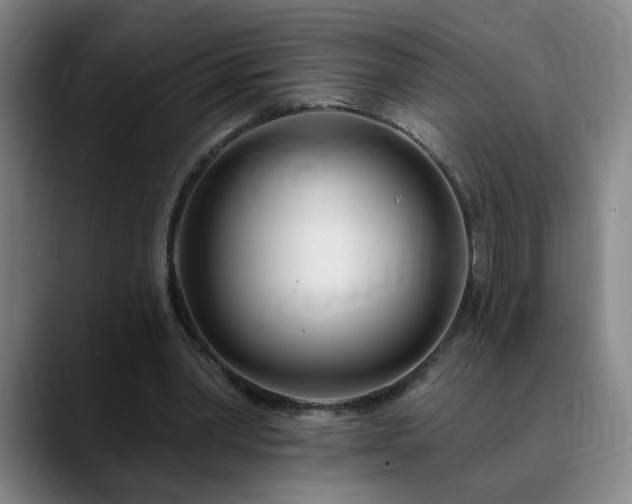 X0000090610390200707171420