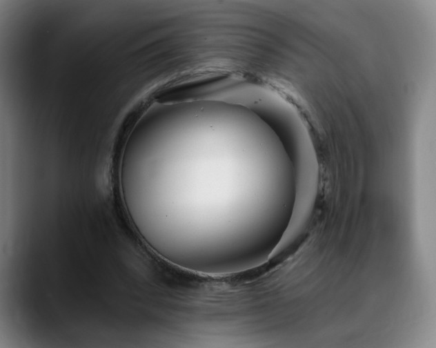 X0000090610392200707171420