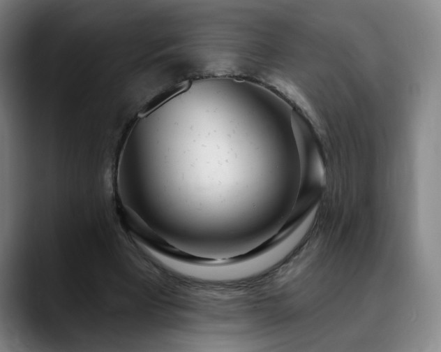 X0000090610393200707171420