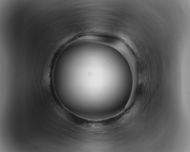 X0000090610395200707171420