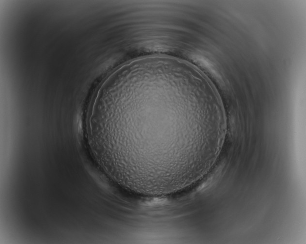 X0000090610398200707171420