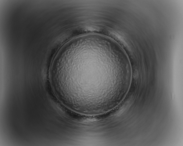 X0000090610402200707171420