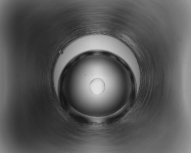 X0000090610405200707171420