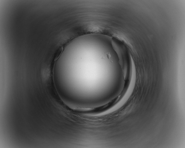 X0000090610407200707171420