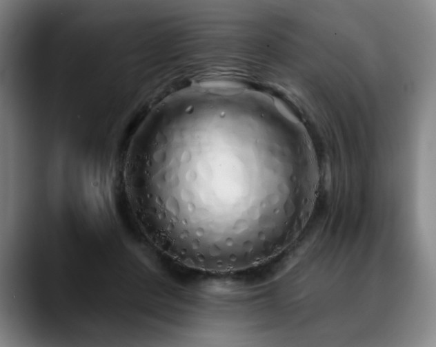 X0000090610408200707171420