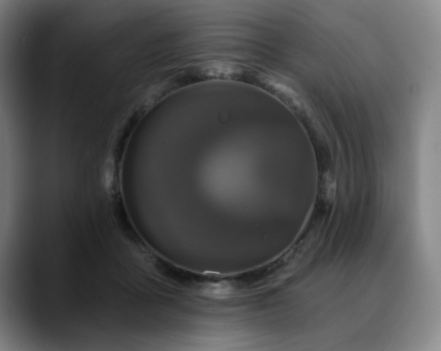 X0000090610411200707171420