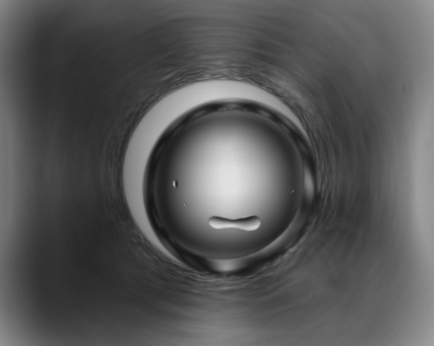 X0000090610417200707171420