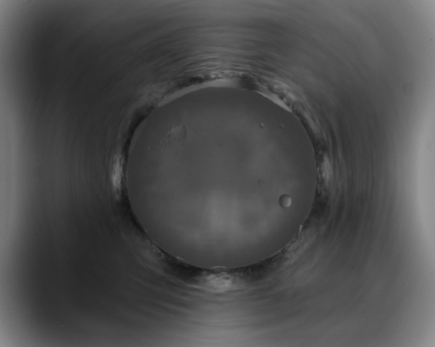 X0000090610423200707171420