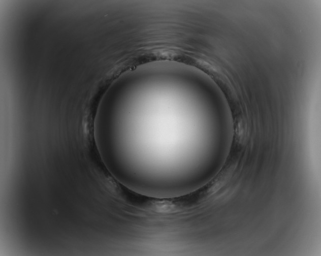 X0000090610424200707171420