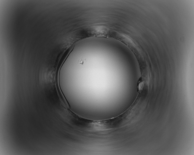 X0000090610425200707171420