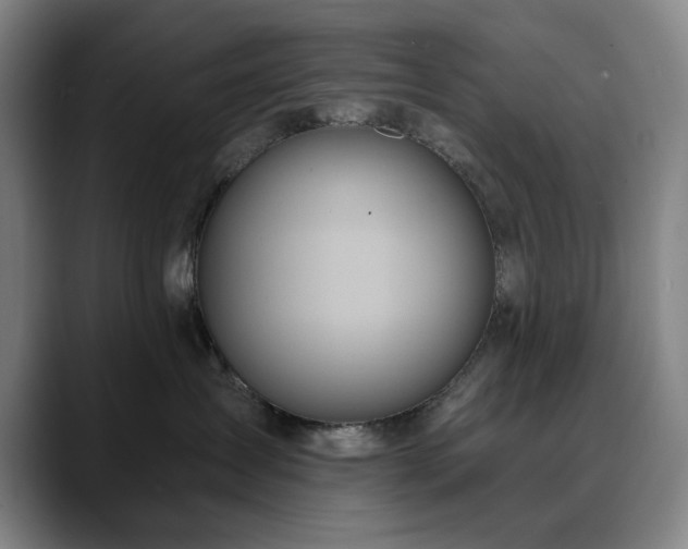 X0000090610431200707171420