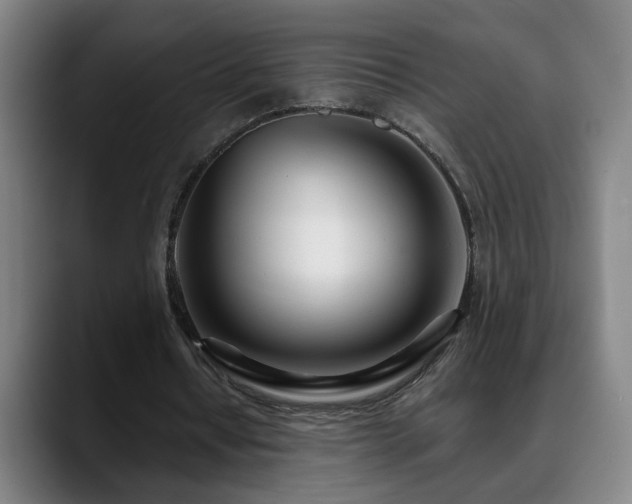 X0000090610434200707171419
