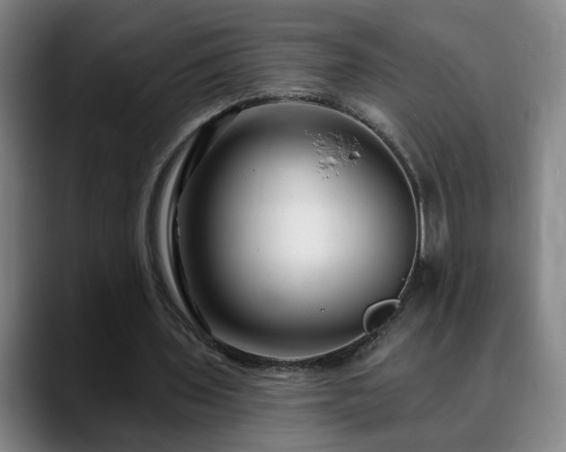 X0000090610435200707171419