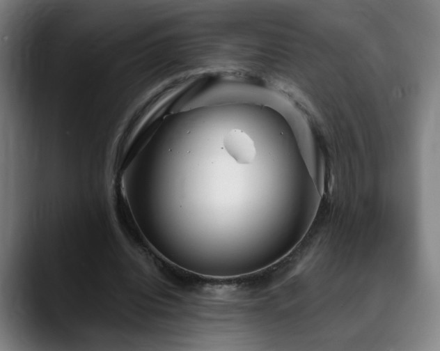 X0000090610440200707171420