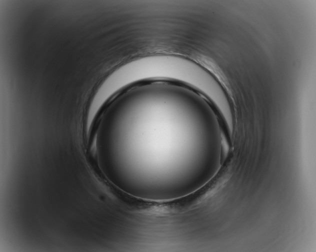 X0000090610441200707171420