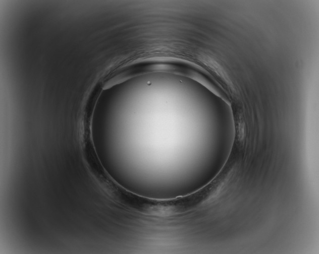 X0000090610444200707171420