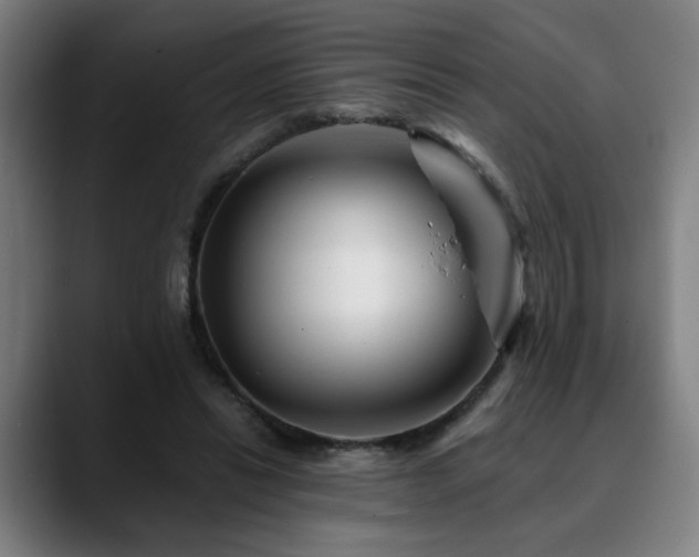 X0000090610446200707171420