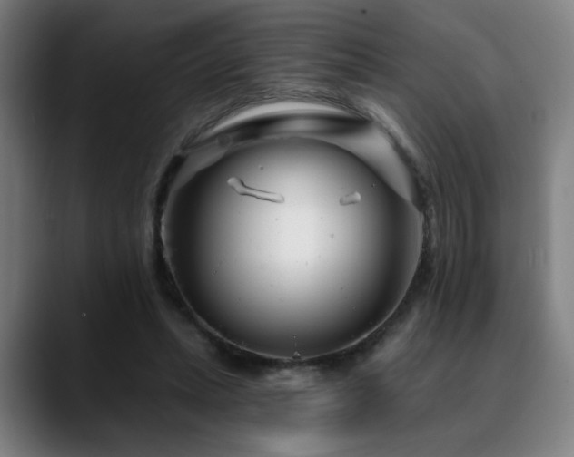 X0000090610447200707171420