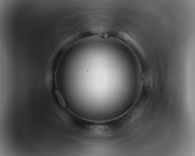 X0000090610448200707171420