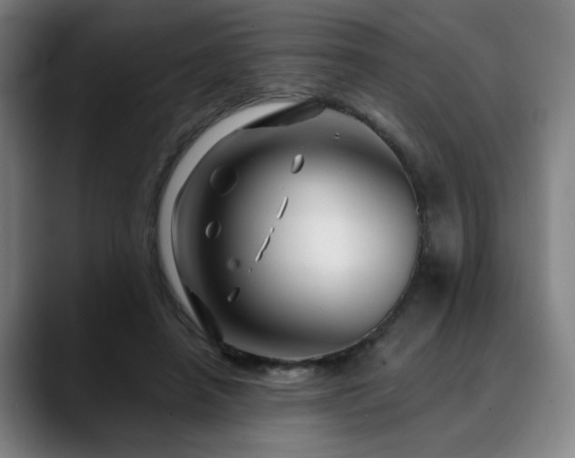 X0000090610450200707171420