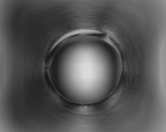 X0000090610453200707171420