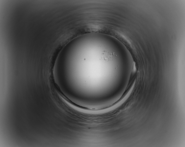 X0000090610455200707171420