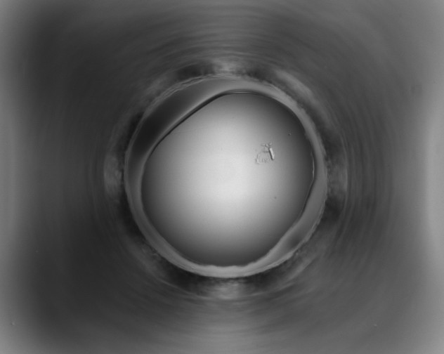 X0000090610456200707171420