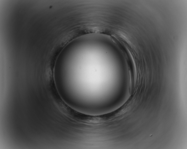 X0000090610459200707171420