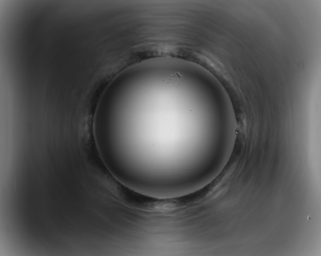 X0000090610462200707171420