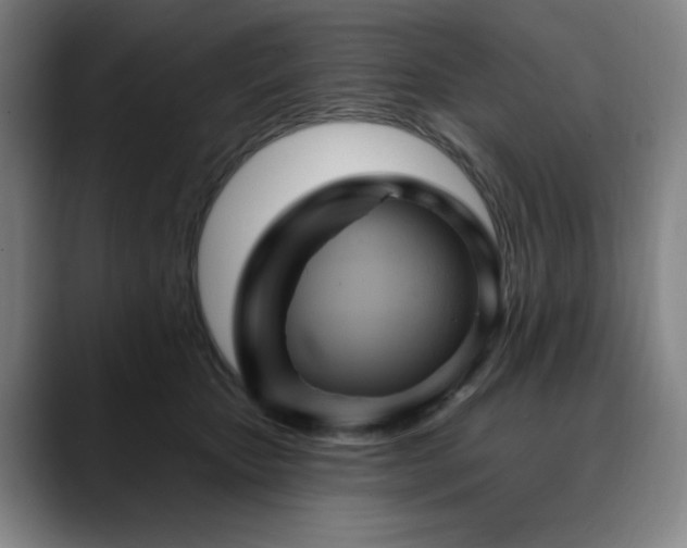 X0000090610467200707171420