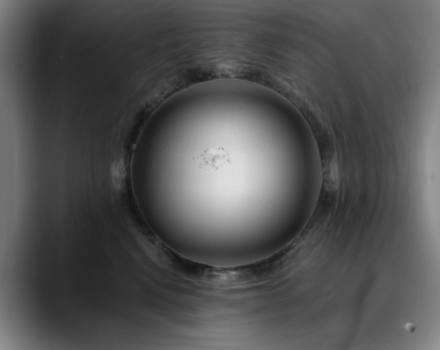 X0000090610472200707171420