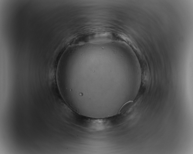 X0000090610473200707171420